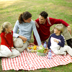 Mother Father Son and Daughter (8-11) Having a Picnic and Chatting